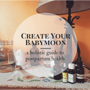 Bear Mama Medicine Guide to Postpartum
